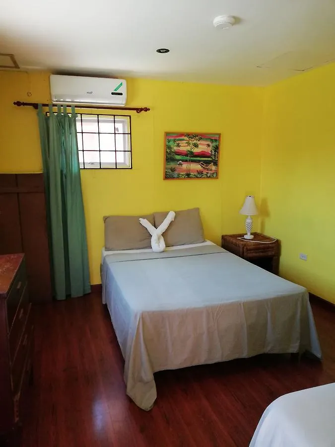 Reggae Hostel Kingston