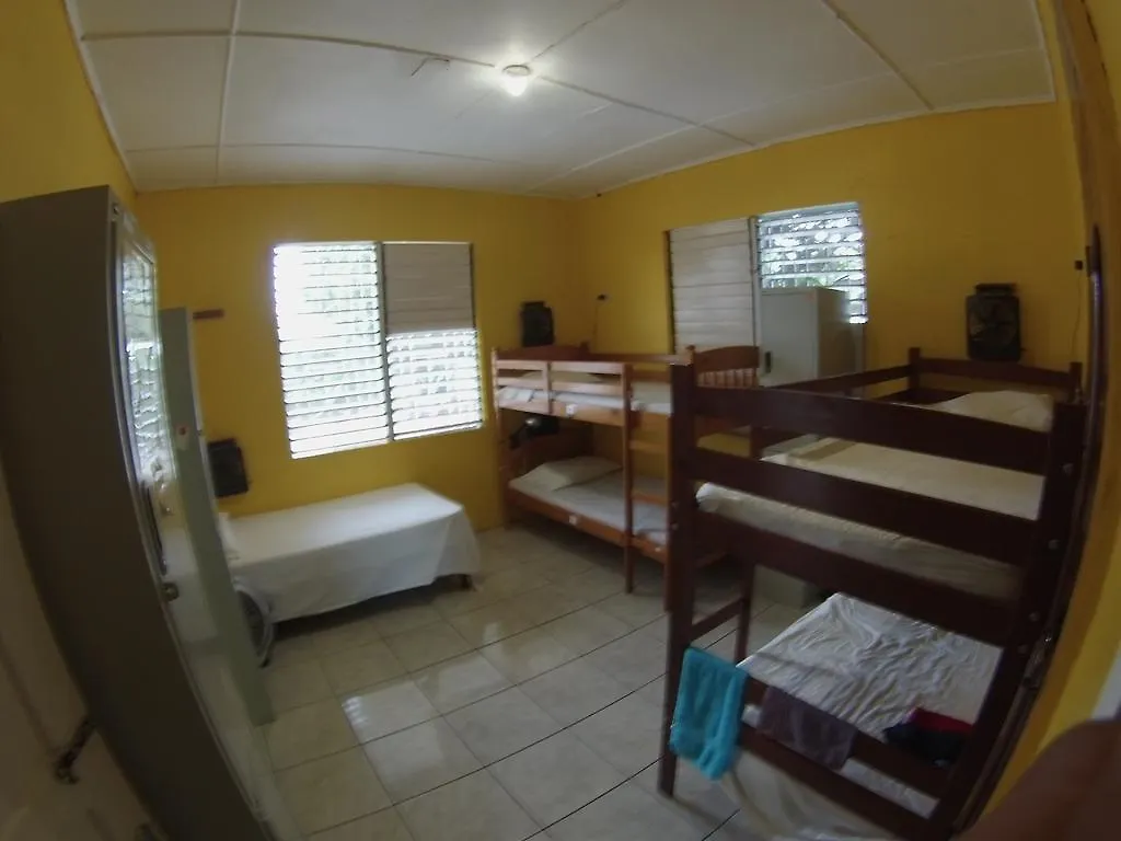 Reggae Hostel Kingston