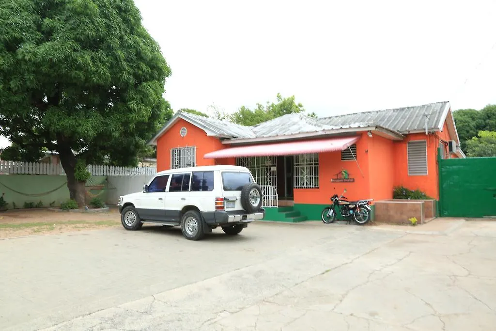 Reggae Hostel Kingston Jamaica