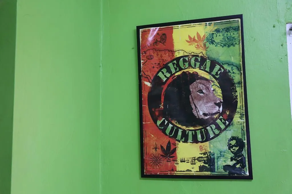 Reggae Hostel Kingston Jamaica