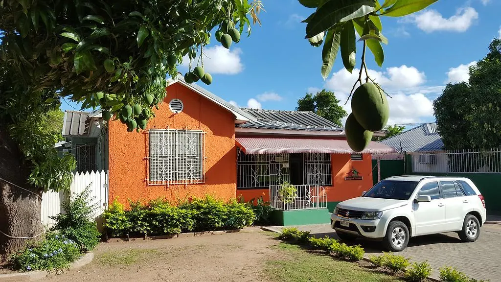 Reggae Hostel Kingston